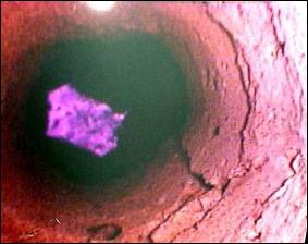 endoscopio muratura